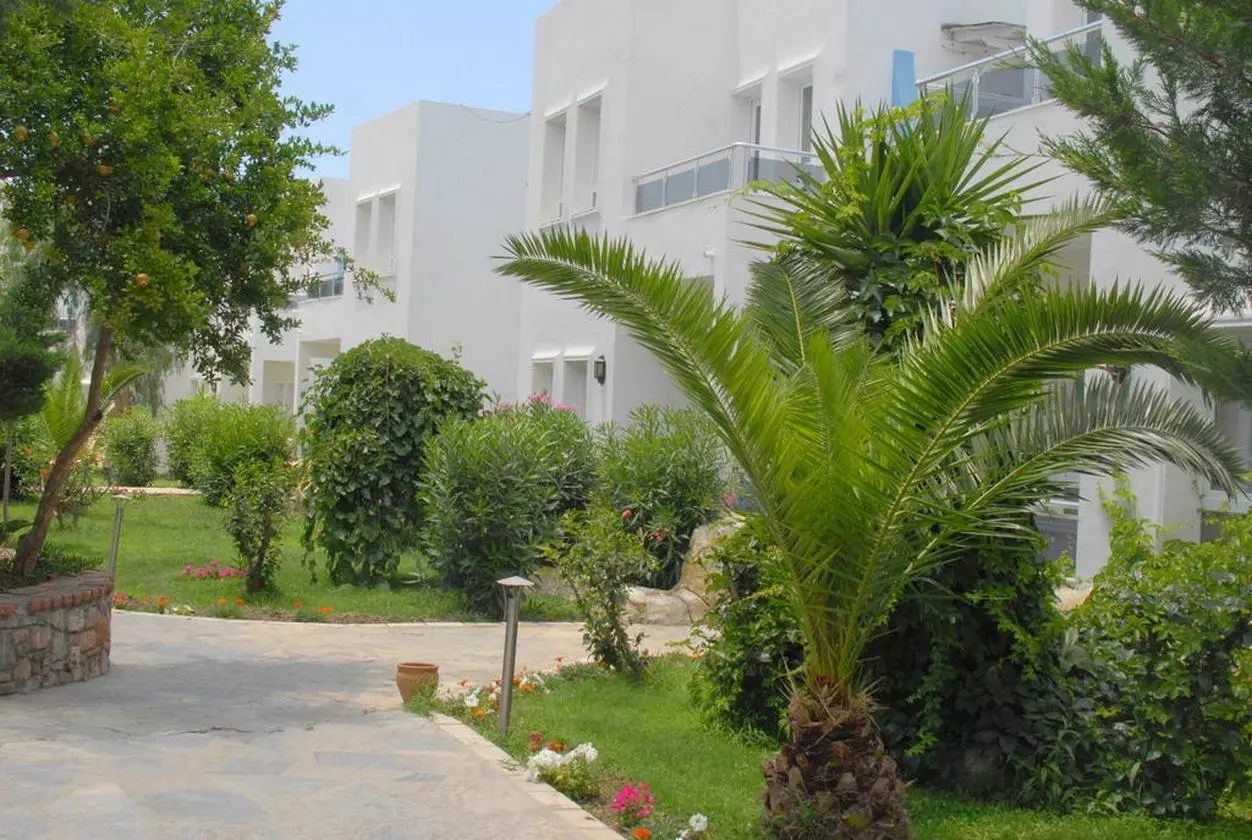 SUNCLUB_SHABAVIZ (16).jpg